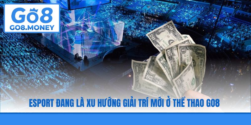 Esport đang là xu hướng giải trí mới ở thể thao GO8